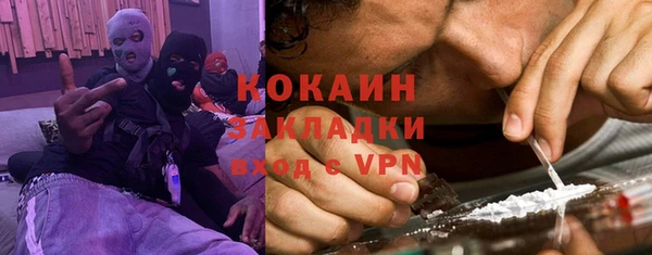 дживик Богородицк