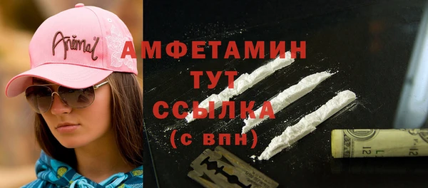 дживик Богородицк