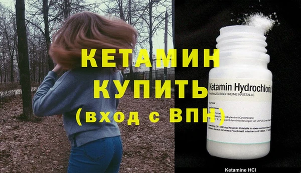 дживик Богородицк