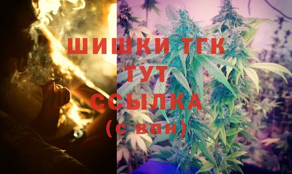дживик Богородицк