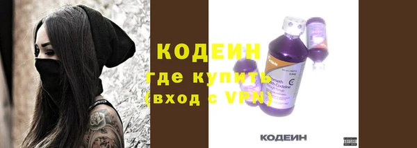 дживик Богородицк