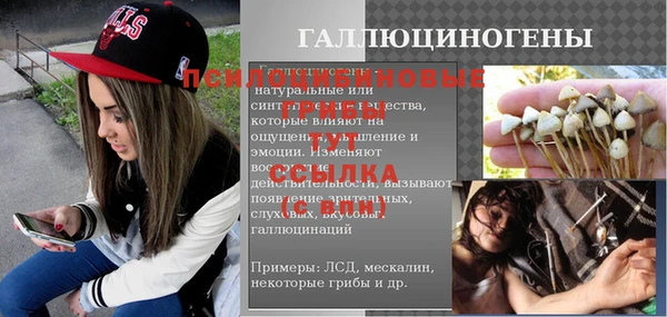 дживик Богородицк