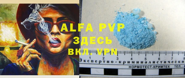 дживик Богородицк