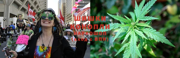 прущая мука Богданович