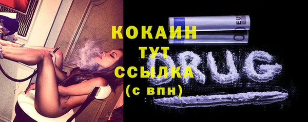 дживик Богородицк
