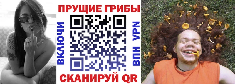 Галлюциногенные грибы GOLDEN TEACHER  где продают наркотики  Нерюнгри 